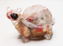 Load image into Gallery viewer, Turtle