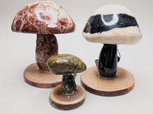 Load image into Gallery viewer, Milake Shroomstones