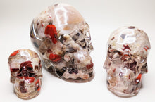 Load image into Gallery viewer, Skull
