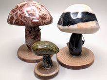 Load image into Gallery viewer, Milake Shroomstones
