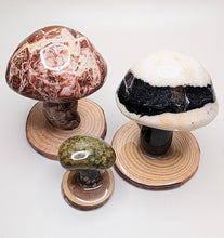 Load image into Gallery viewer, Milake Shroomstones

